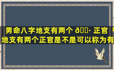 男命八字地支有两个 🌷 正官「地支有两个正官是不是可以称为有 🌸 根」